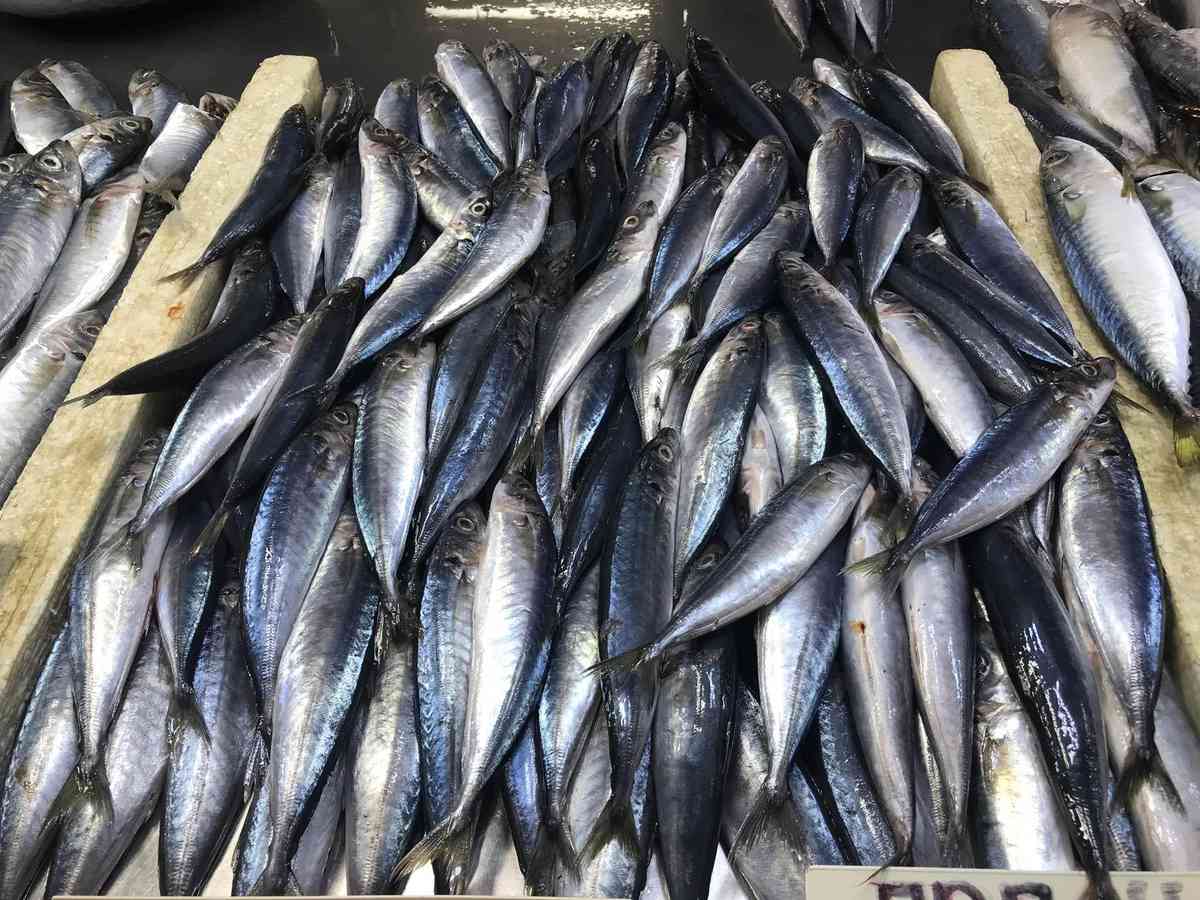 BFAR assures enough fish supply ahead of Holy week