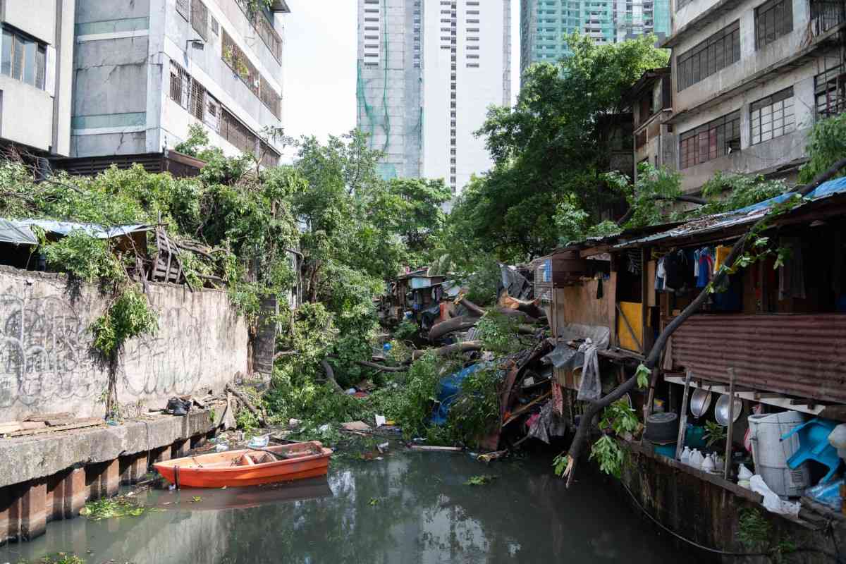 DILG taps BFP to probe cause of deadly collapsed tree in Manila