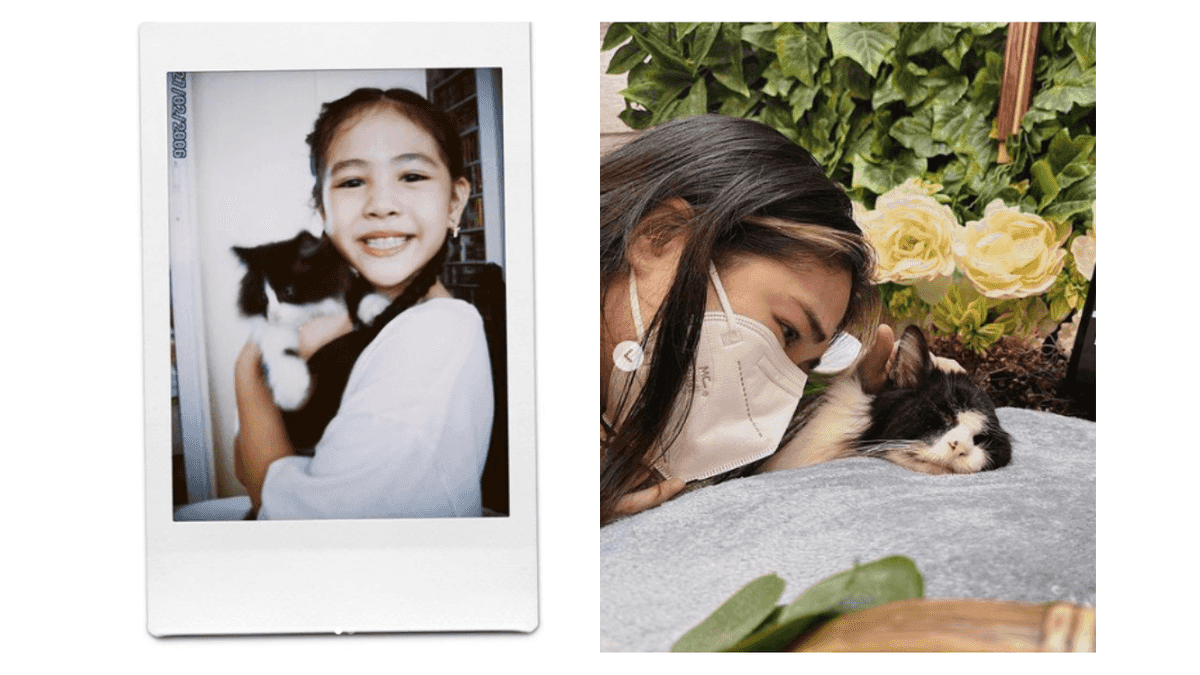 Janella Salvador mourns death of 17-year-old beloved cat