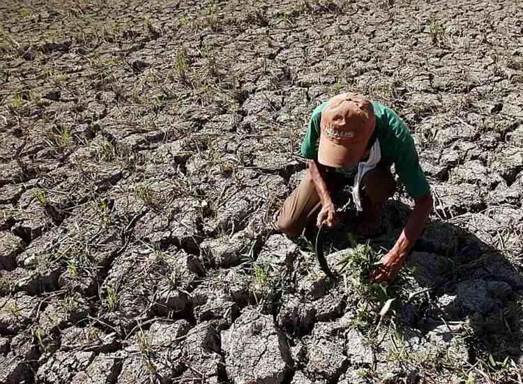 PAGASA: Weak El Niño begins, may intensify in next months
