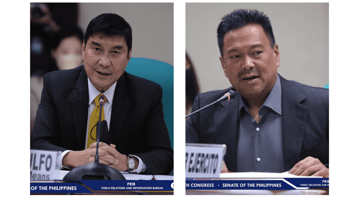 Ejercito, Tulfo slam BOC for confiscating onion, fruits from 10 PAL crew