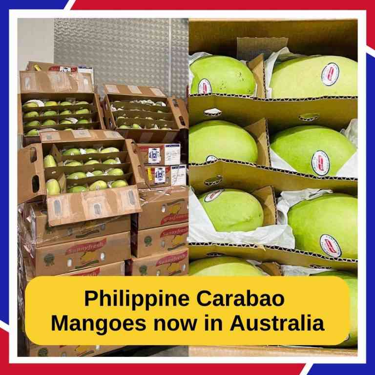 PH to ship new batch of mangoes to Australia this April 2024 – DTI