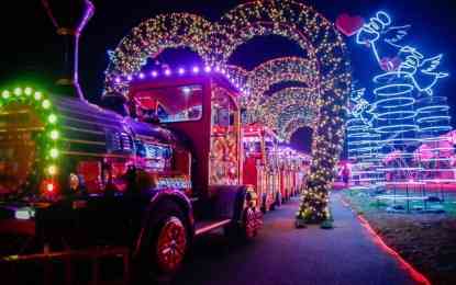 Taguig opens 'Lights of love' park for Valentine's Day