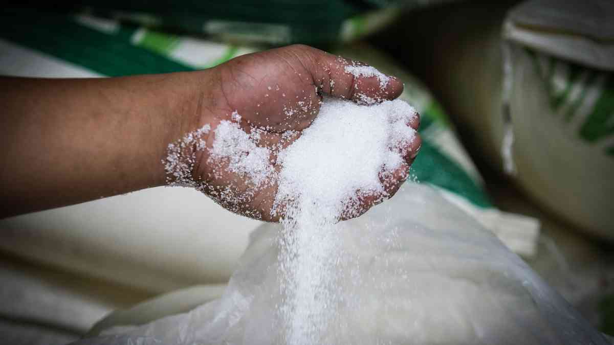 SRA OKs 440,000 MT imported sugar, to arrive in April
