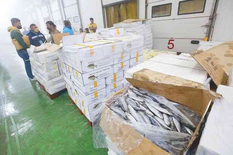 DA confiscated 714 boxes of smuggled frozen fish products