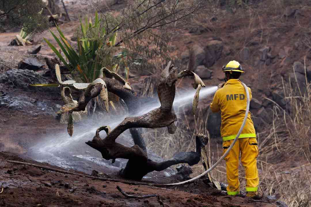 After Maui wildfires kill 96, search for the missing continues