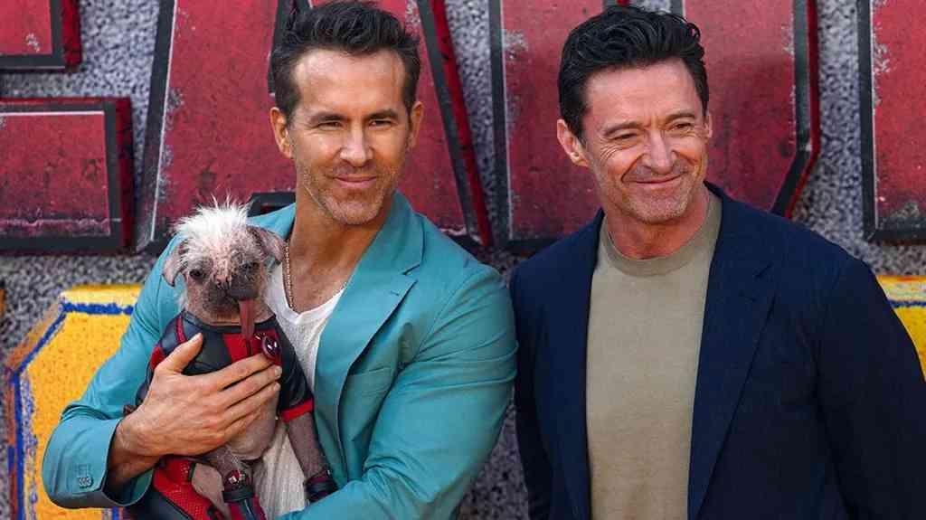 Britain's ugliest dog is 'Dogpool' in Deadpool & Wolverine movie