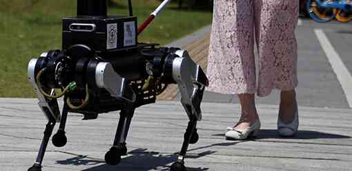 Chinese robot 'guide dog' aims to improve independence for visually impaired