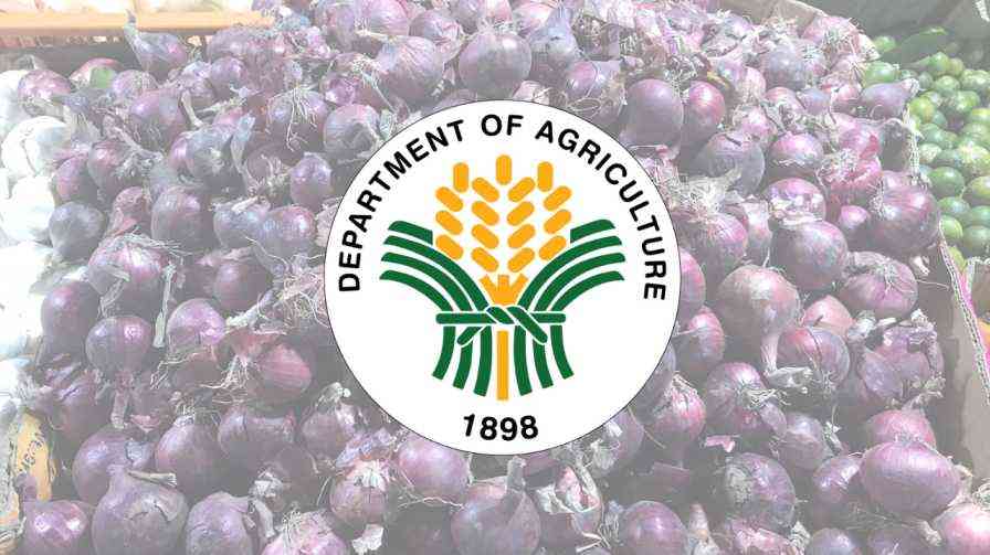 DA announces deferment of SRP for onion