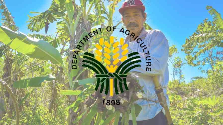 DA bares 5-year plan to boost agri activities in Mindanao ancestral domains