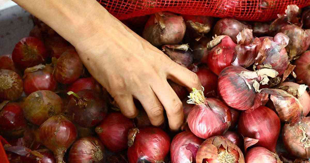 DA postpones extension of P250 onion SRP as harvest season approaches