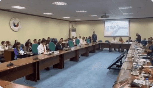 De Castro 'no show' in Senate hearing on Catherine Camilon case