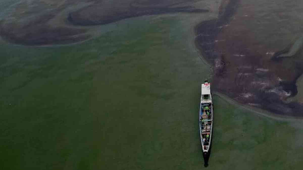 Fishes from oil spill affected areas in Cavite, now safe to eat - Gov. Remulla