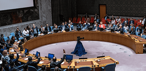 Five nations elected to UN Security Council
