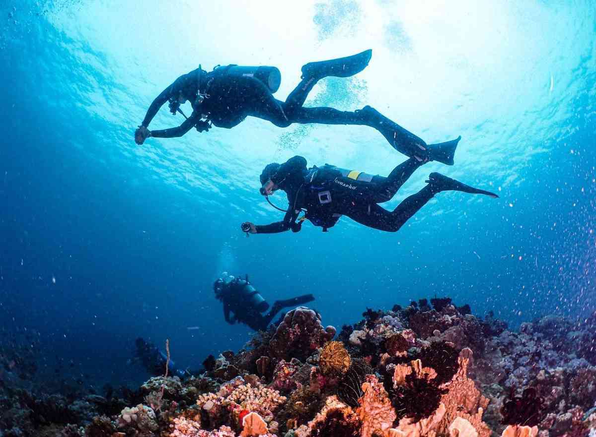 LOOK: Tourism chief goes scuba diving in oil spill-free Puerto Galera
