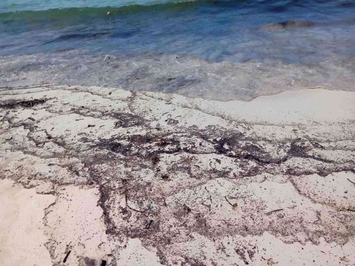 PCG: Oil spill reaches coastal waters of Palawan