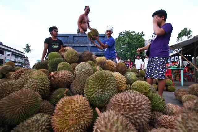 PH to generate P8.3B from initial export of durian in China — BPI