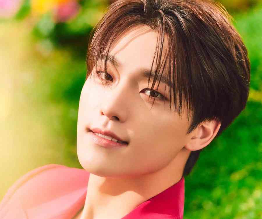 SEVENTEEN's Dino tests positive for COVID-19, to skip upcoming US concert tour