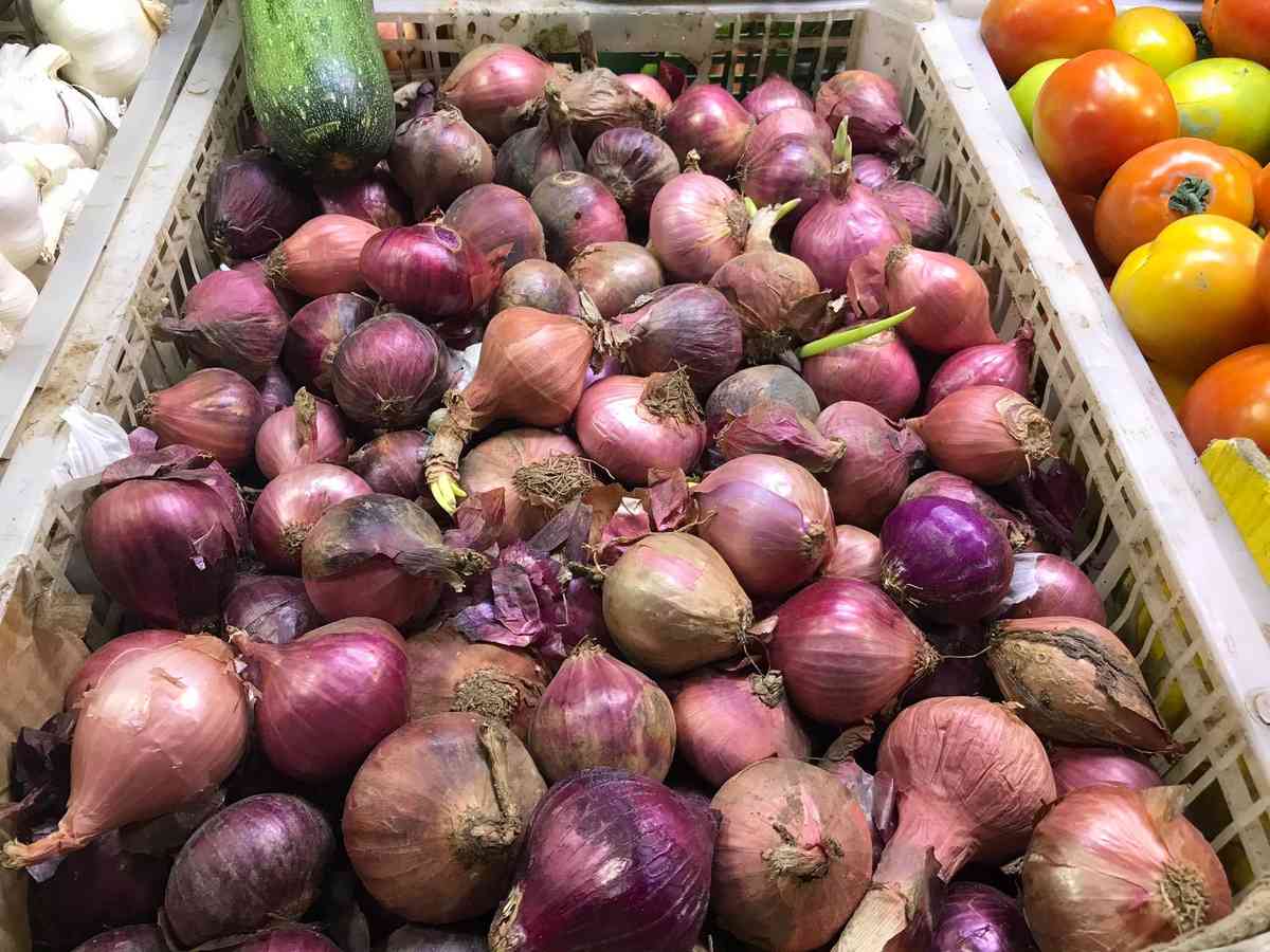 SINAG: Onion farmgate, retail price gap must be addressed