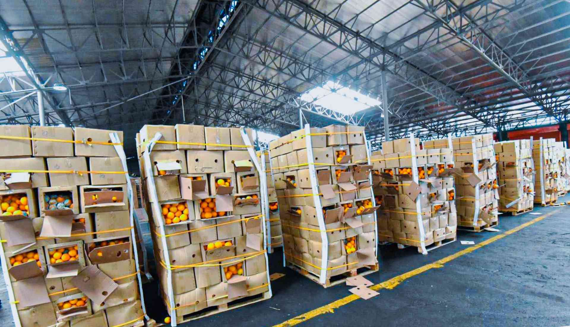 Unlawful importation of 3,200 cartons of fresh oranges, halted in MICP — BOC