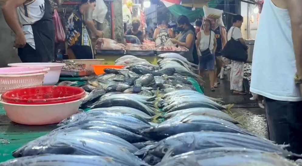 Fish from 5 municipalities in Cavite, still not safe for human consumption — BFAR