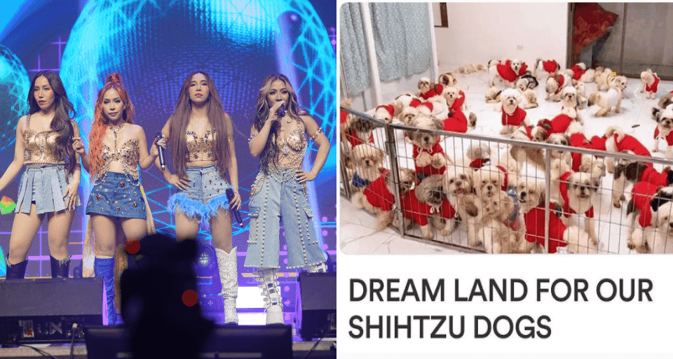4th Impact earns netizens’ ire over farm fundraising for 200 dogs