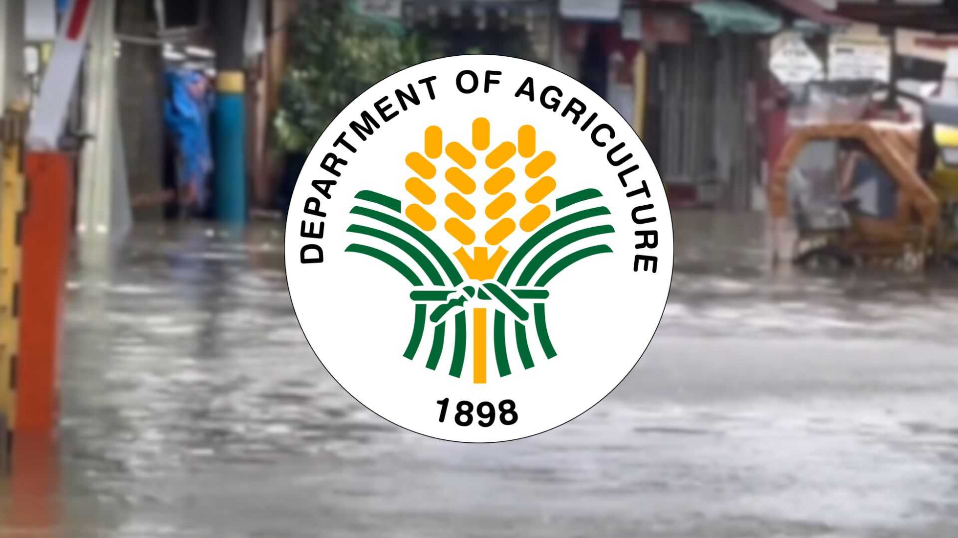 Agricultural damage and losses caused by severe tropical storm Enteng amounts to P360-M — DA