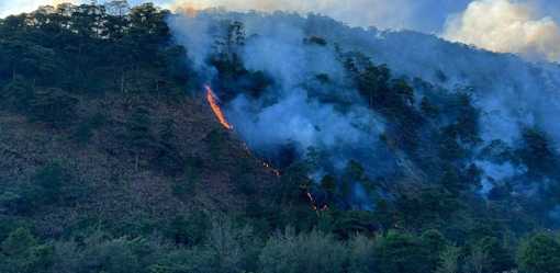 Animal herders, farm caretakers suspected cause of wildfire in Itogon