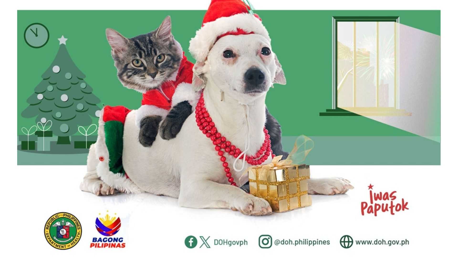 DOH to pet owners: Ensure furry companions' holistic well-being on New Year's Eve