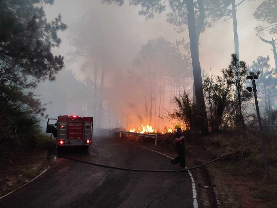 Forest fire breaks out in Camp John Hay, Baguio City - Baguio PIO