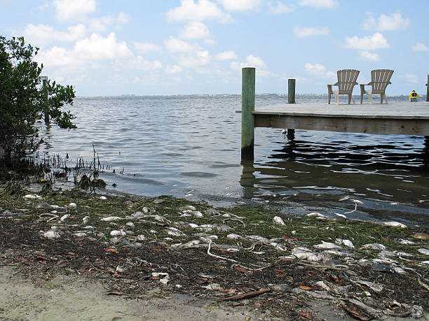BFAR: 10 areas tested positive for toxic red tide