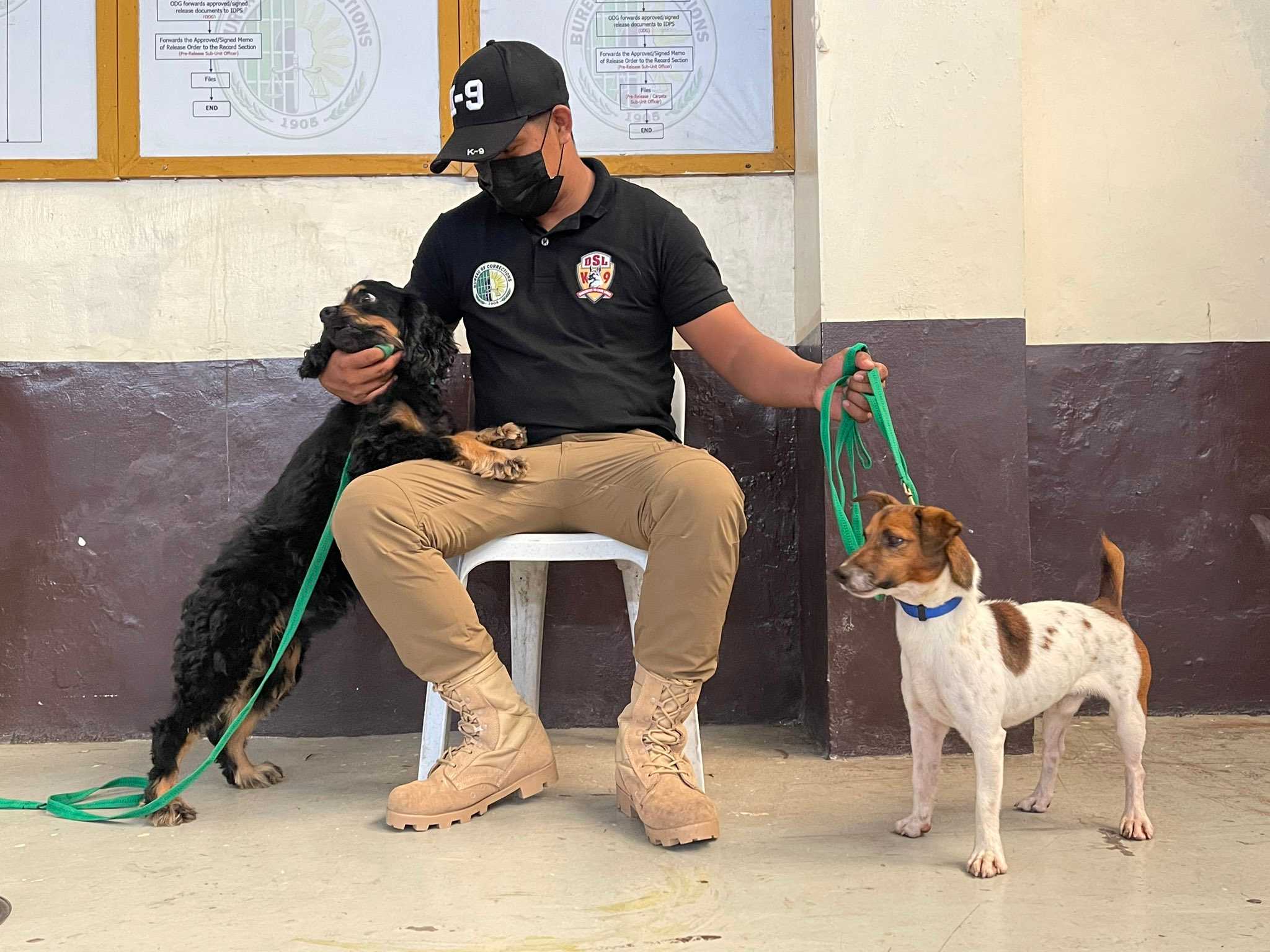 BuCor deploys K-9 at New Bilibid; to implement high-tech security system