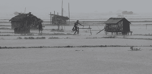 Cyclone Remal kills 16, snaps power links to millions in India, Bangladesh