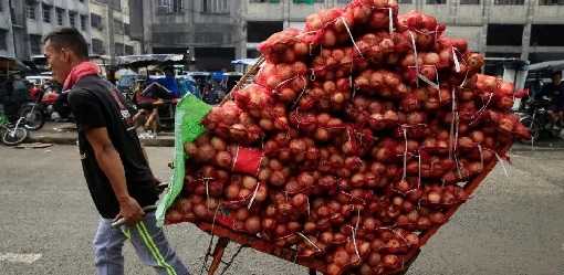 DA green lights importation of 16,000 metric tons of white onions