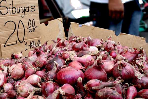 DA sets new SRP for red onion in wet markets in NCR