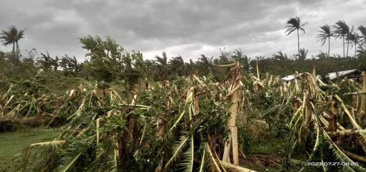 Damage to agri, infra from typhoon Egay, 'habagat' reaches over P5B