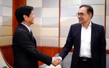 Anwar’s trip an impulsive to reinvigorate PH-Malaysia ties — DFA