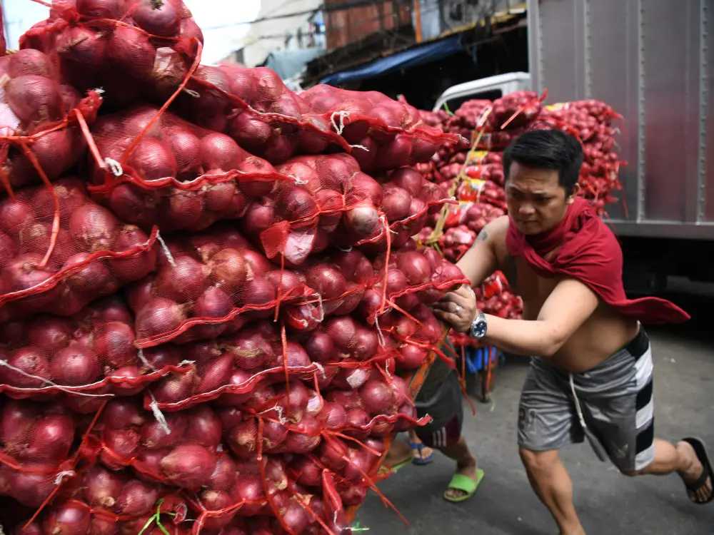 DOJ points 6-7 individuals linked to onion cartel