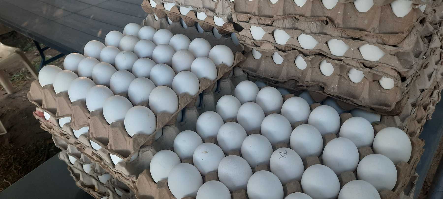 Prices on eggs increase due to low supply, higher demand