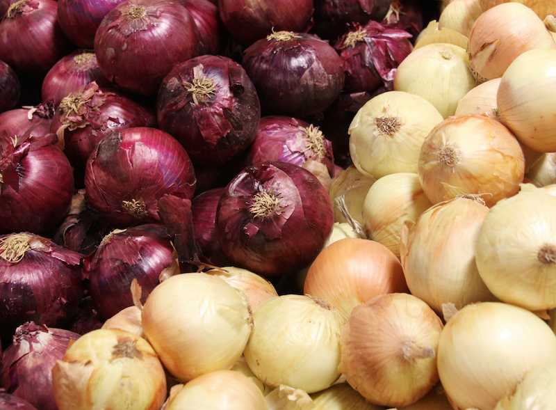 First batch of imported onions arrived in PH