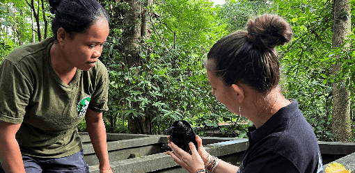 First hatchling in captivity offers hope for Cambodia's endangered Black Marsh Turtle