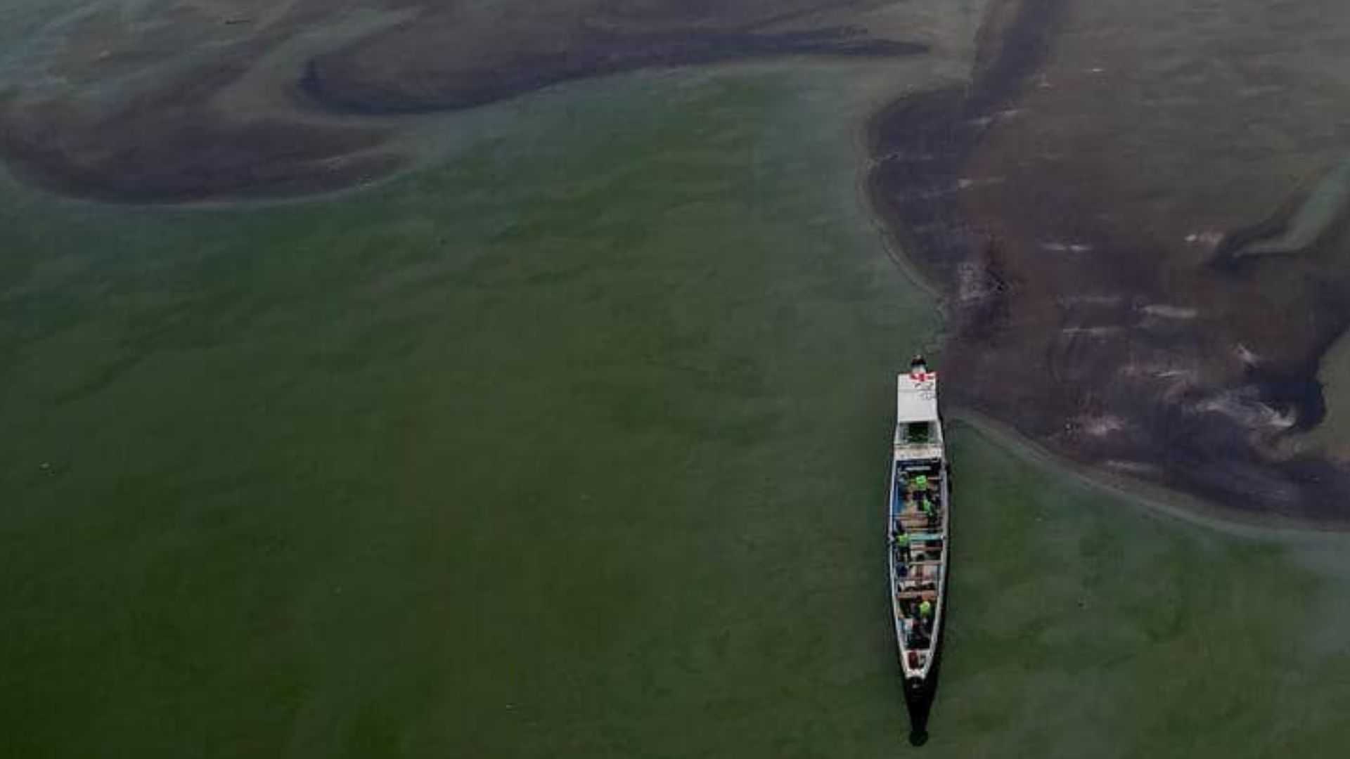 Fishes from oil spill affected areas in Cavite, now safe to eat - Gov. Remulla