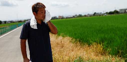 Heat stroke risk won't stop Japan's ageing farmers as temperatures soar