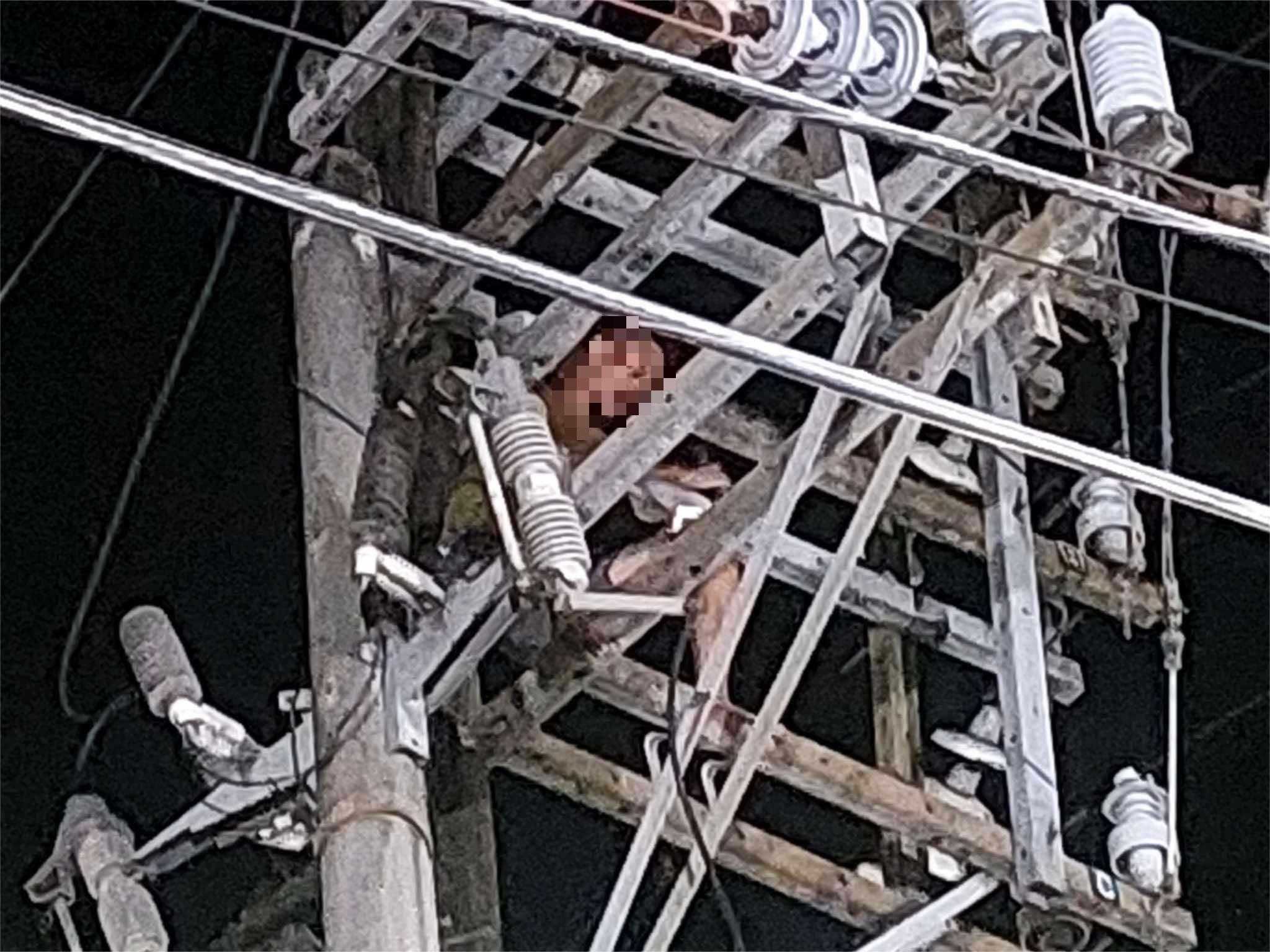 Man rescued after climbing Meralco utility pole in Taguig