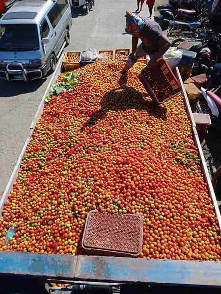 DA-CAR implements interventions to thwart dumping of tomatoes
