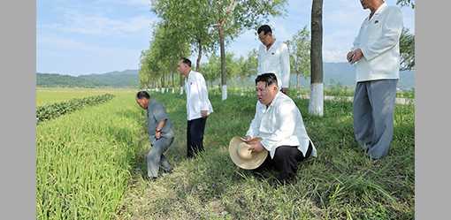 North Korea's Kim visits typhoon-hit farmlands amid food shortage concerns