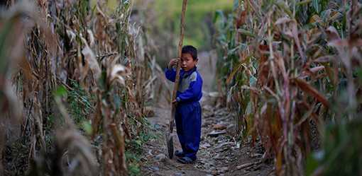 North Korea convenes meeting on agricultural stability amid food shortage woes