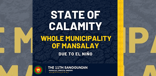Oriental Mindoro town declares state of calamity