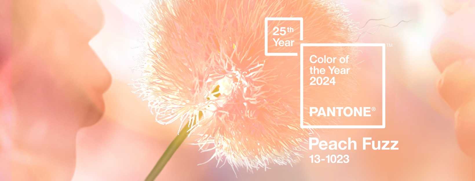 Peach Fuzz is Pantone's Color of the Year 2024!