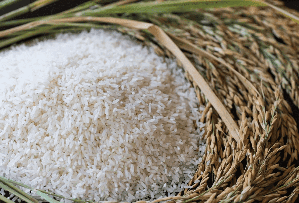 PBBM: PH may need to import rice from India